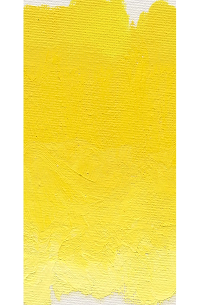 Cadmium Yellow Medium