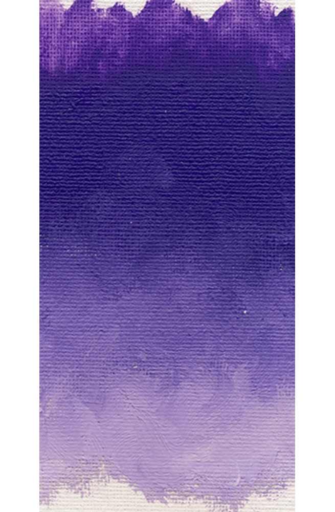 Provence Violet Bluish
