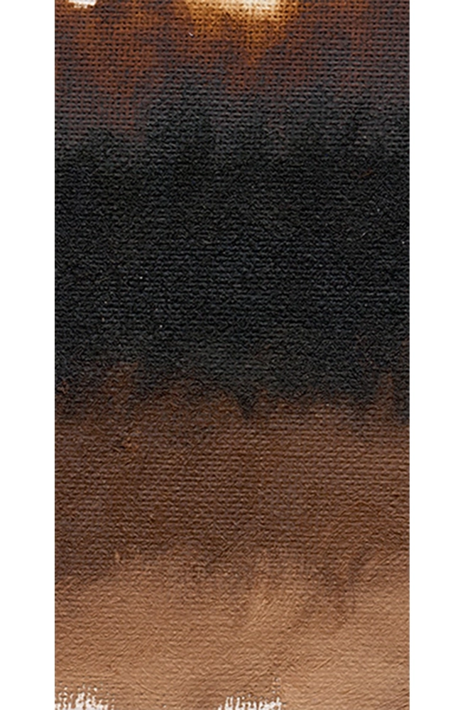 Dutch Brown (Transparent)