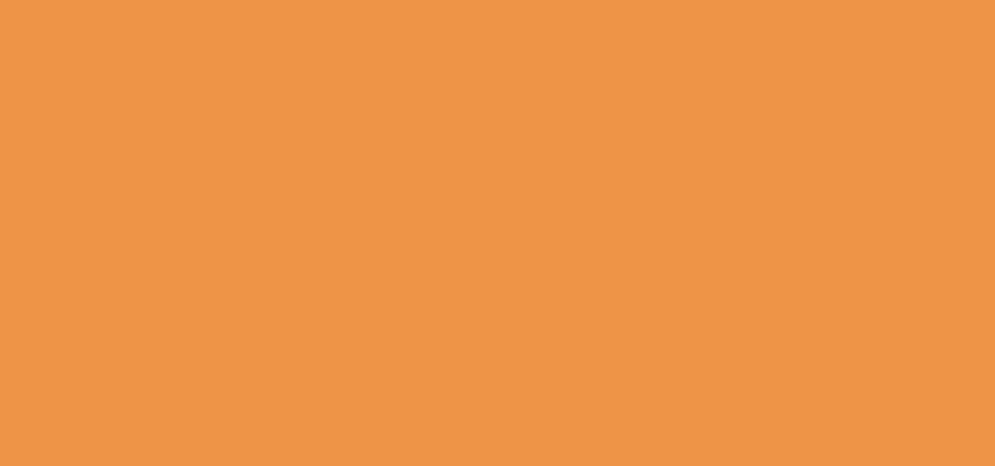 #233 neon orange