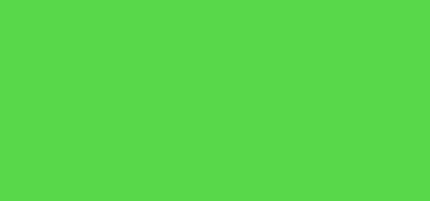 #236 neon green