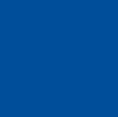 tulip blue