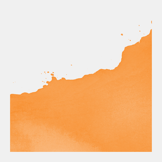 Light Orange 236