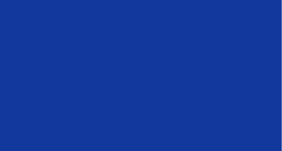 BLUE 1.0mm