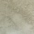 SAND DOLLAR