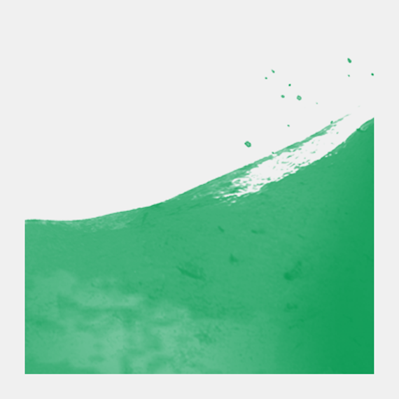 Forest Green 656