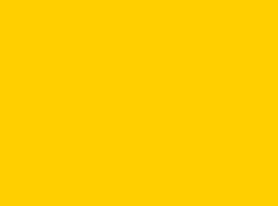 010 Golden Yellow