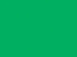 097 Bright Green