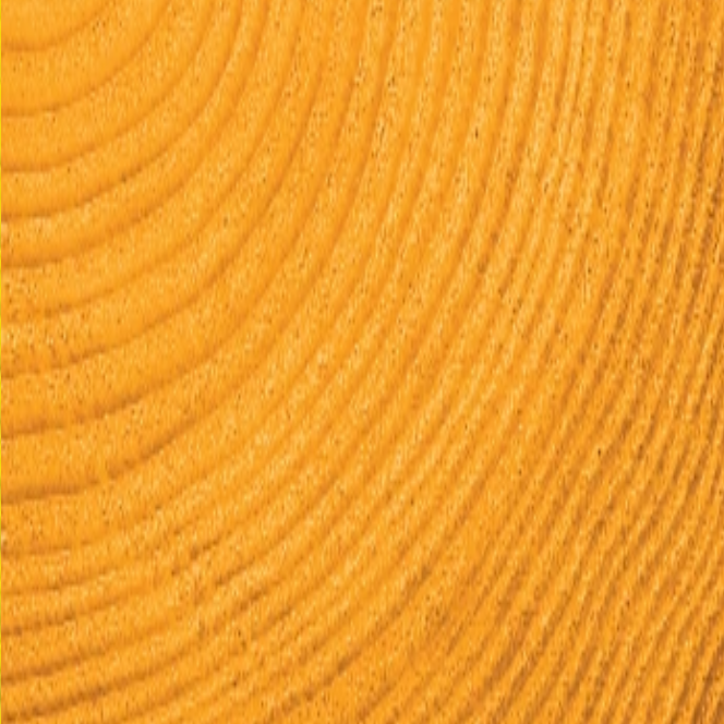 003 Golden Yellow