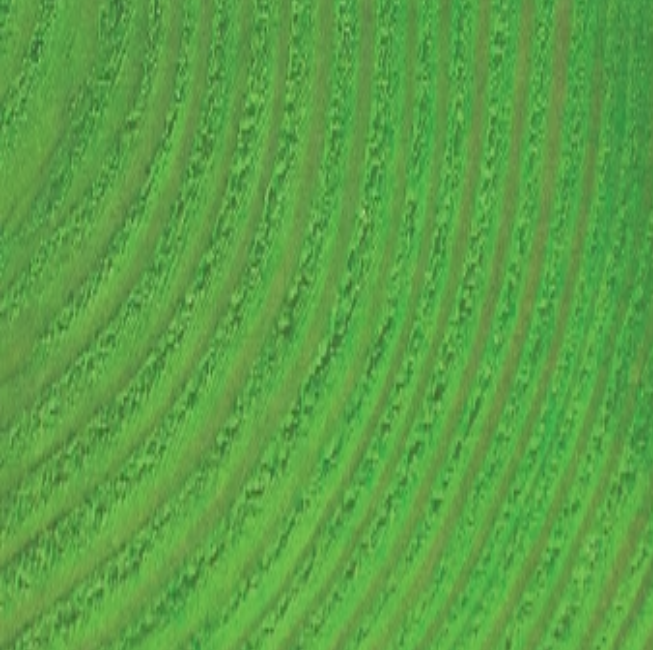 021 Green