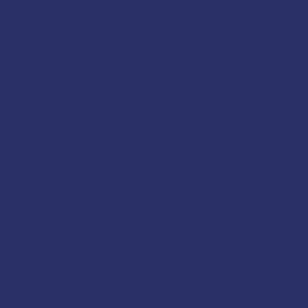 107 BLUE