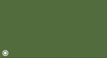 OLIVE GREEN 529