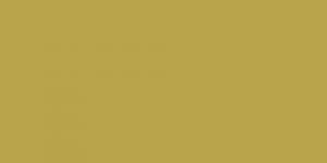 Olive Green : Y41