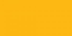 Melon Yellow YR33