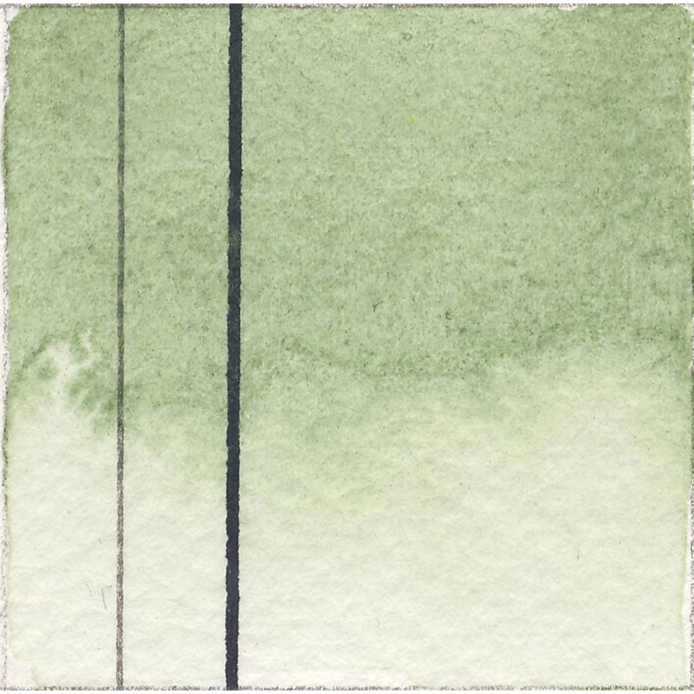 Terre Verte