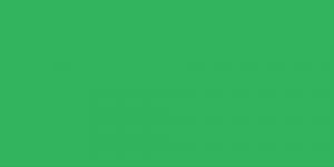 Vivid Green : G46