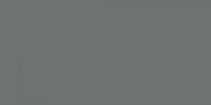 Mouse Grey