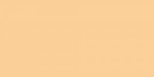 Apricot Beige