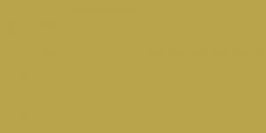 Olive Green Y41