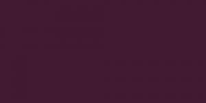 Purple Violet