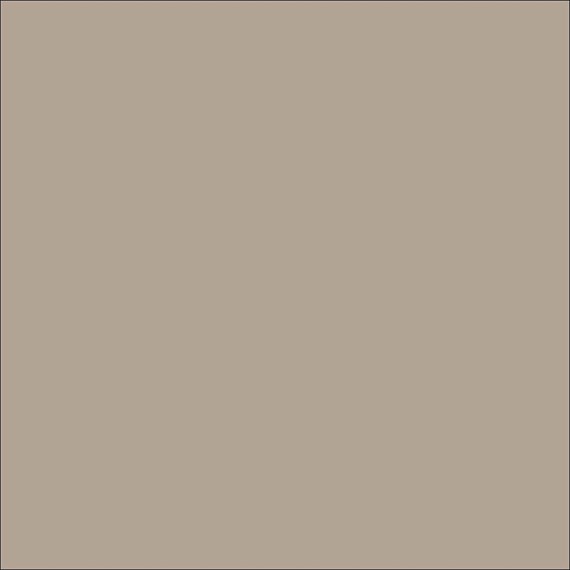 Warm Taupe (4030)