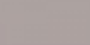 Warm Grey : WG4
