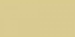 Putty : Y169