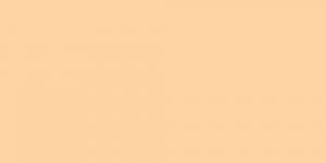 Pale Cream YR142