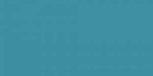 Dolphin Blue
