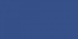 Wild Wane Blue