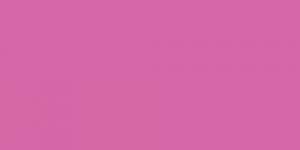 Fuchsia Pink 231