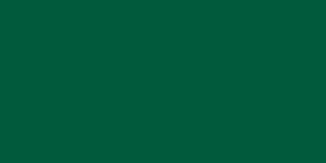Turquoise Green Middle