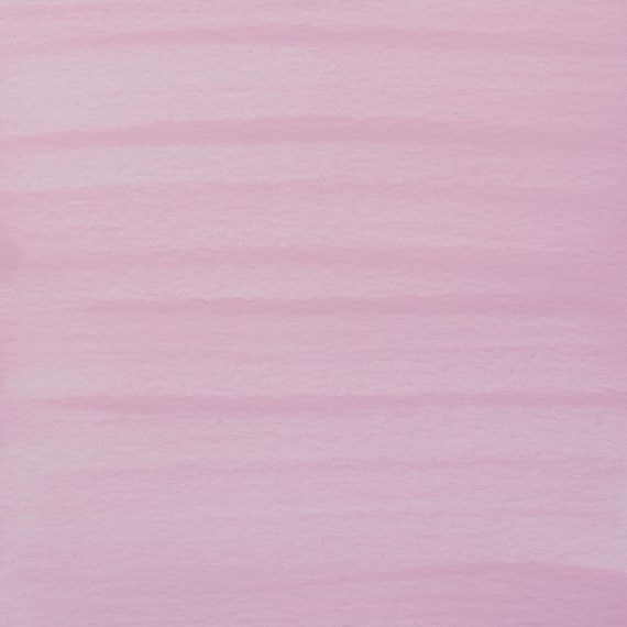 Light rose 361