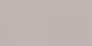 Warm Grey : WG3