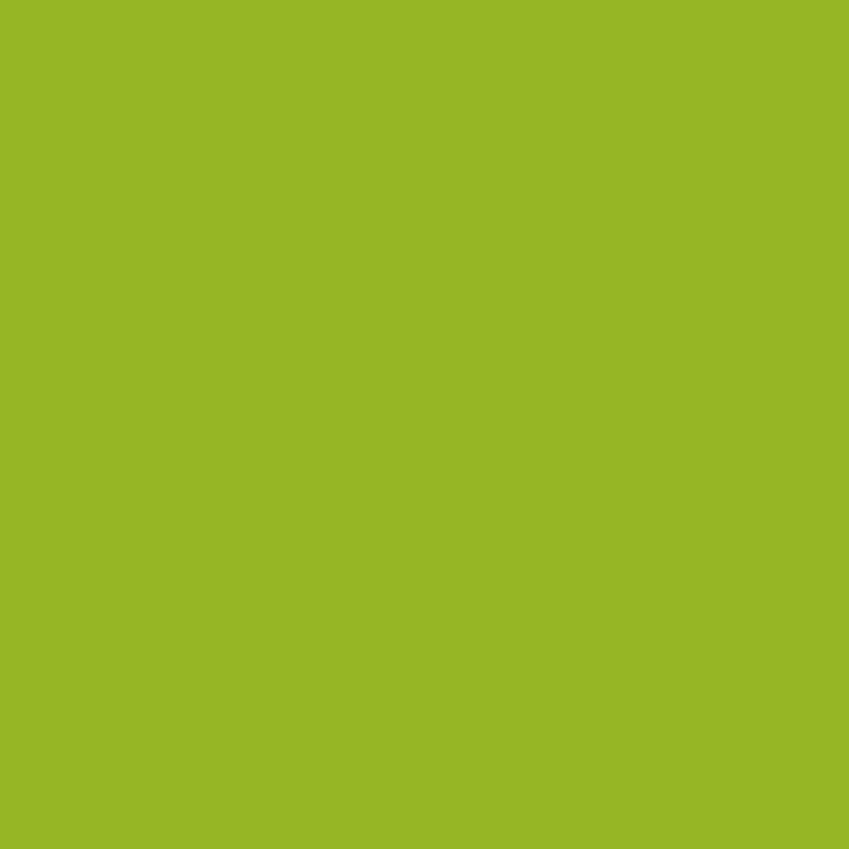 BRIGHT YELLOW GREEN