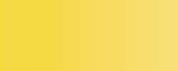 Y 030 golden yellow