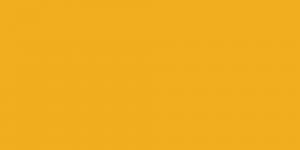 Dark Yellow YR31