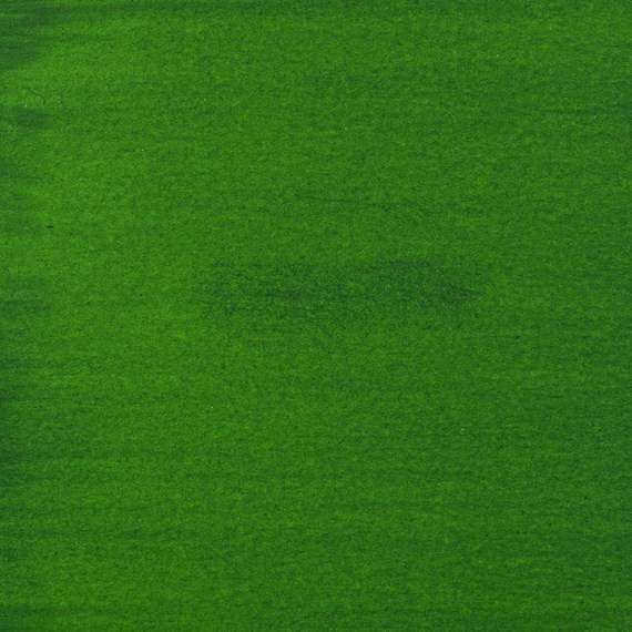Permanent Green Light 618