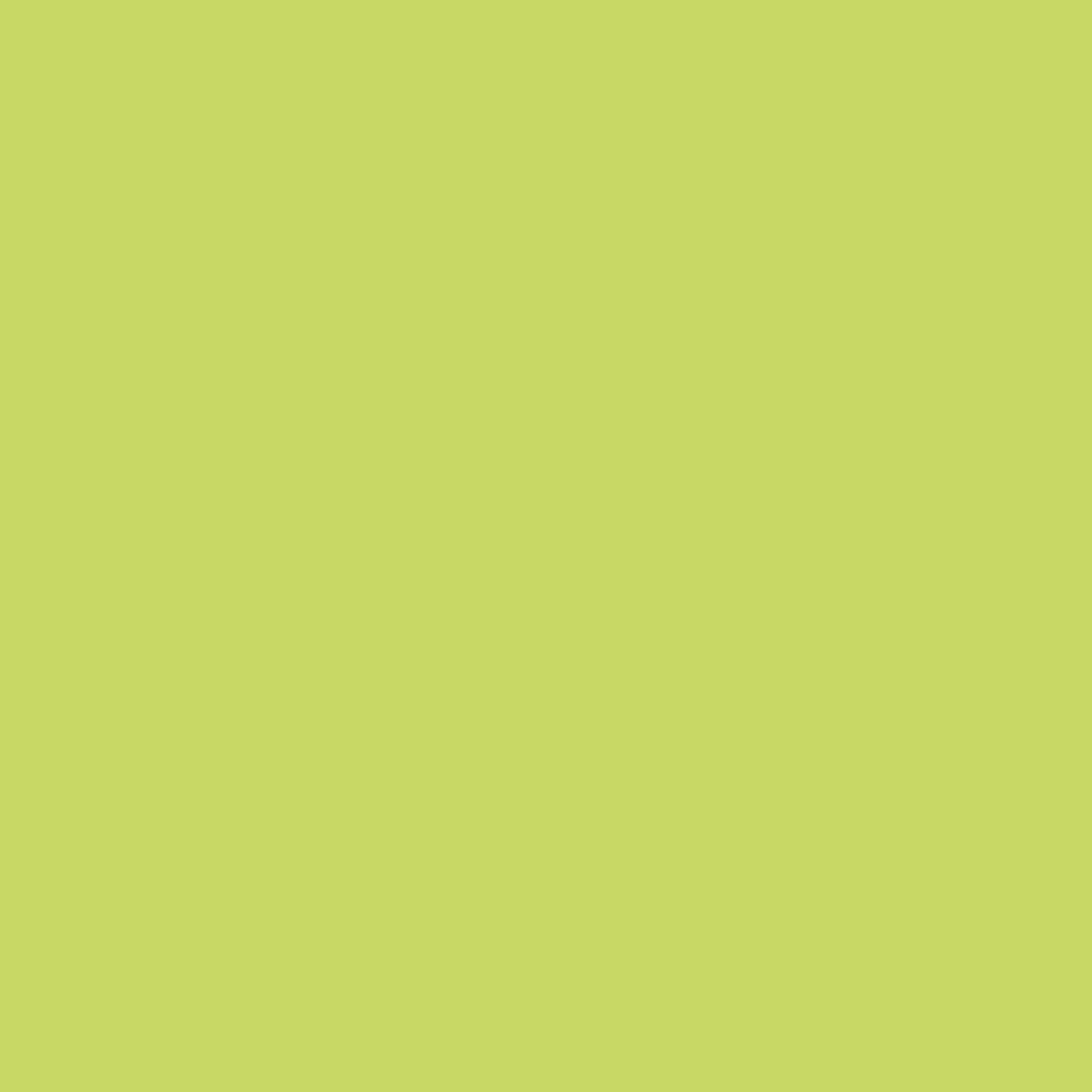 Fresh Green 6034