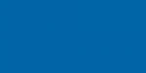 Tulip Blue Middle