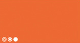 PERMANENT ORANGE 510