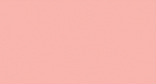 SHELL PINK 543