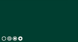 VIRIDIAN HUE 530