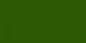 Moss Green