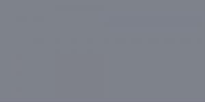 Cool Grey : CG6