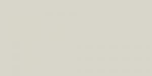 Light Grey Neutral