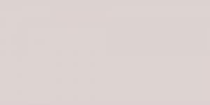 Warm Grey : WG1