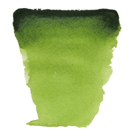 Sap green 623
