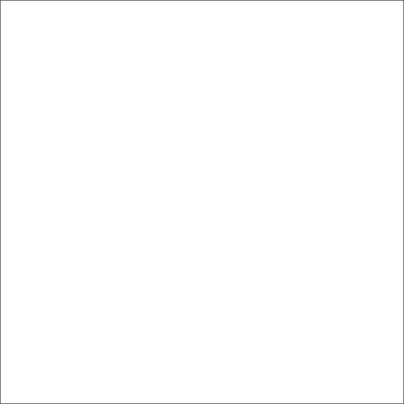 Pure White (1001)