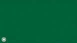 HOOKERS GREEN 528